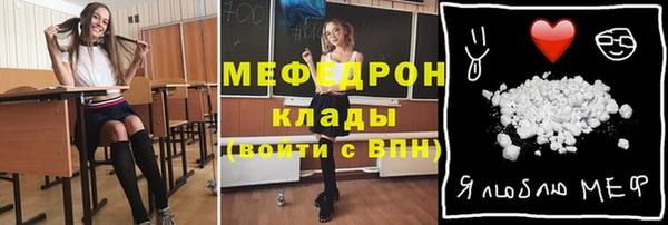 индика Ростов