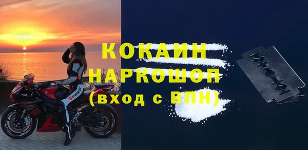 индика Ростов