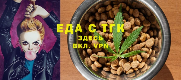 индика Ростов
