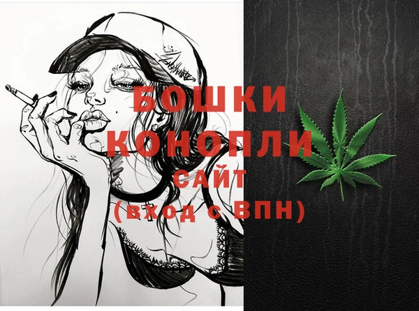 индика Ростов
