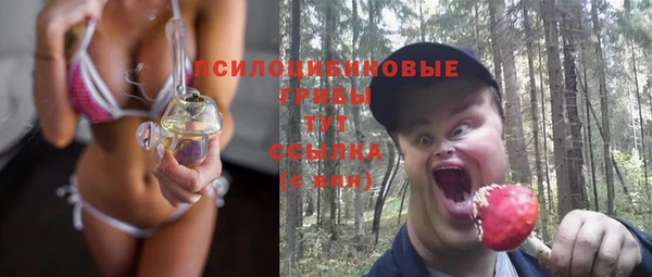 индика Ростов