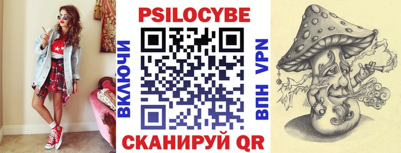 Псилоцибиновые грибы Cubensis  Болохово 